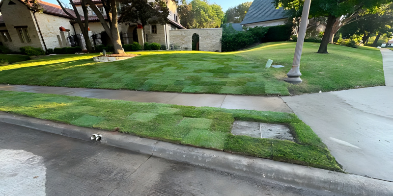 Sod Installation in Weatherford, Texas