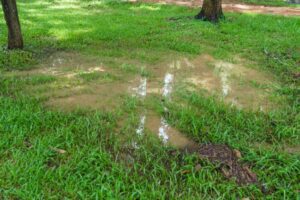 Drainage Solutions That Keep Your Property Safe and Secure