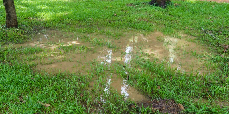 Drainage Solutions That Keep Your Property Safe and Secure